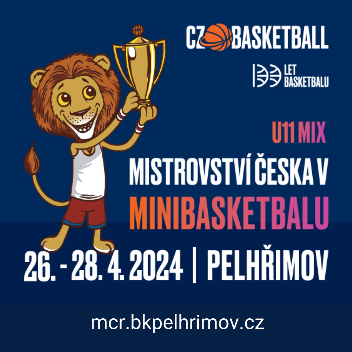 Minibasket n