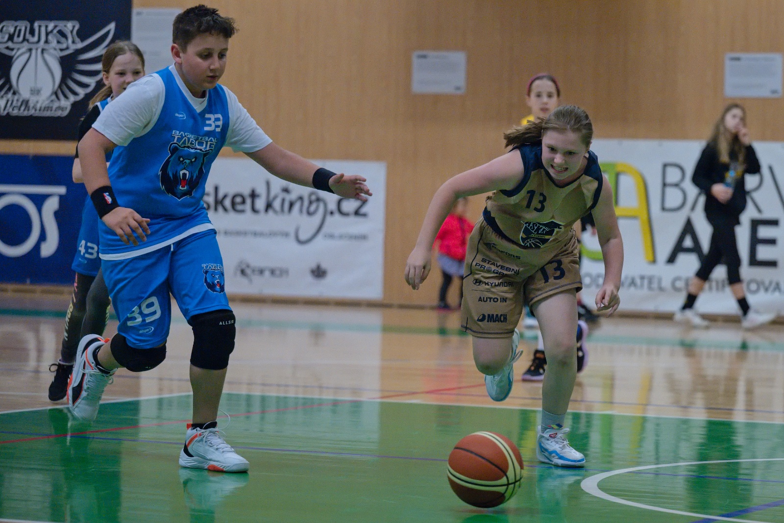 BA Young Diamonds vs. BK Medvědi Tábor 107:33