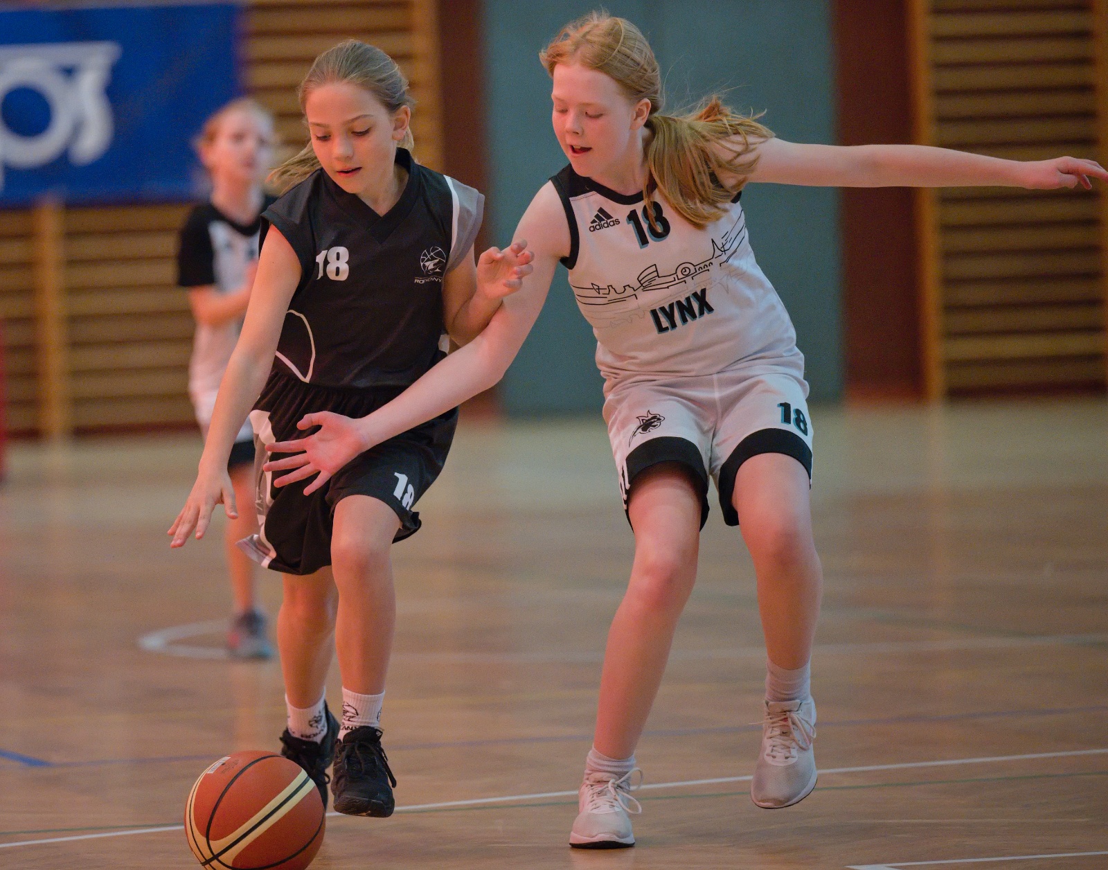 BA Lynx Liberecko vs. SKB Rokycany 101:24