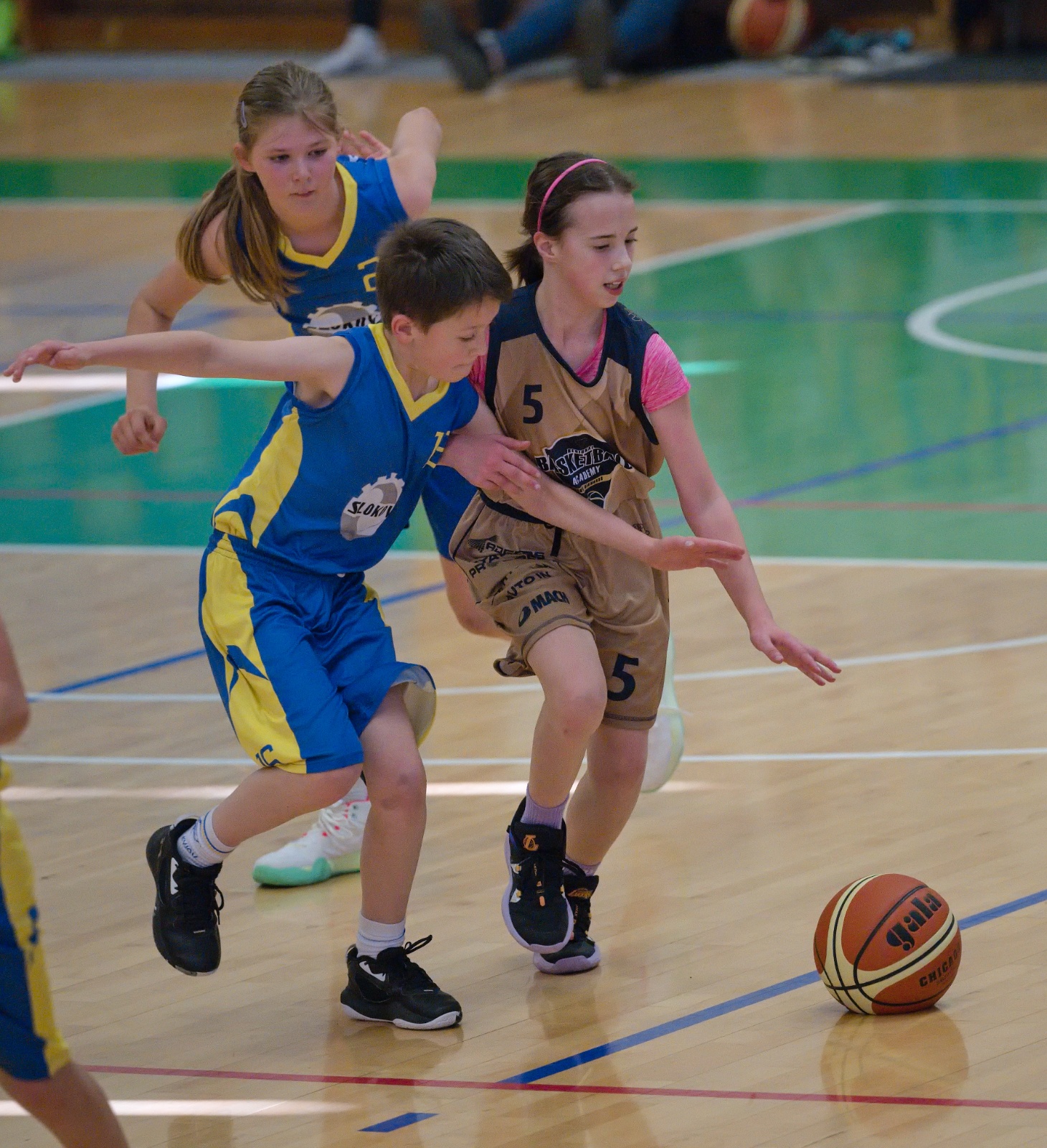 Semifinále BA Young Diamonds vs. Jiskra Kyjov 66:45