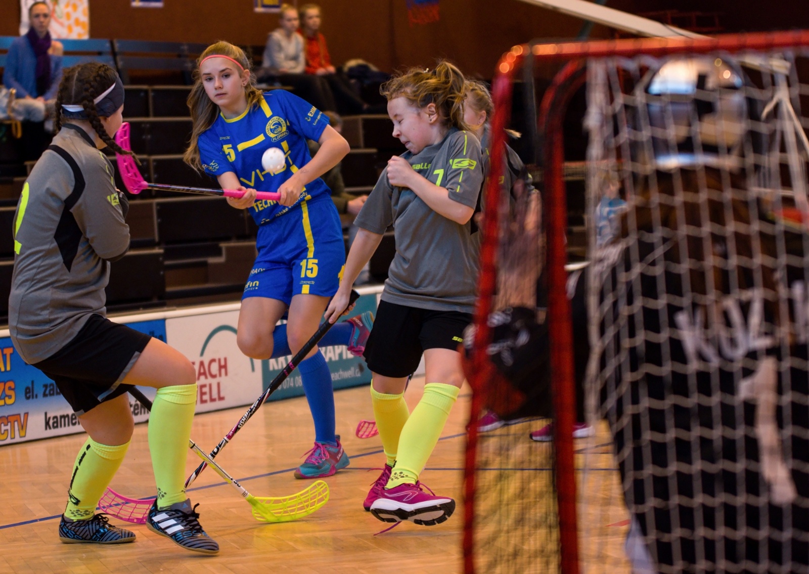 Starší žákyně * Pelhřimov*13.1.2019